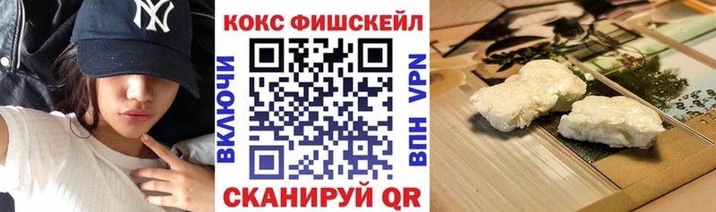 Купить закладки  Салават  Cocaine Боливия 