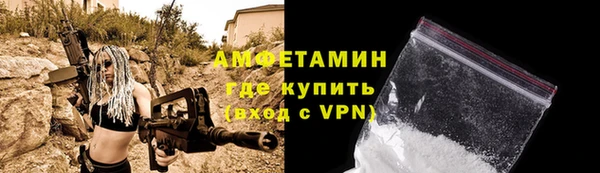 индика Протвино