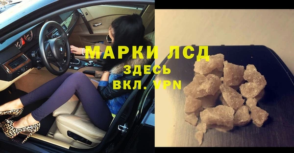 прущие грибы Пролетарск