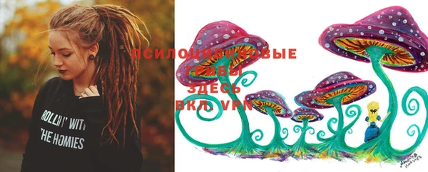 прущие грибы Пролетарск