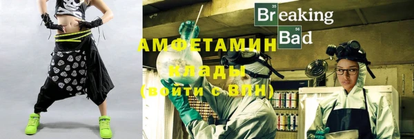 индика Протвино