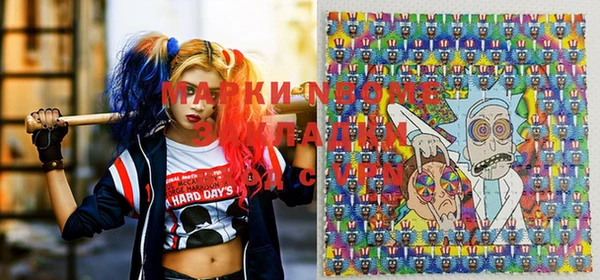 индика Протвино